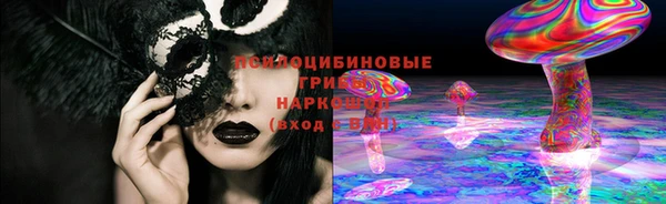 PSILOCYBIN Богородицк