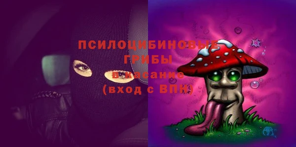 PSILOCYBIN Богородицк