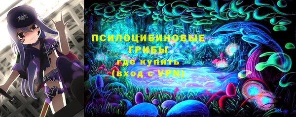 PSILOCYBIN Богородицк
