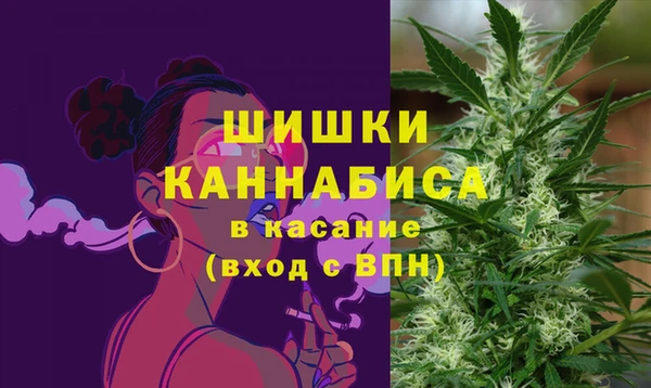 спайс Богданович