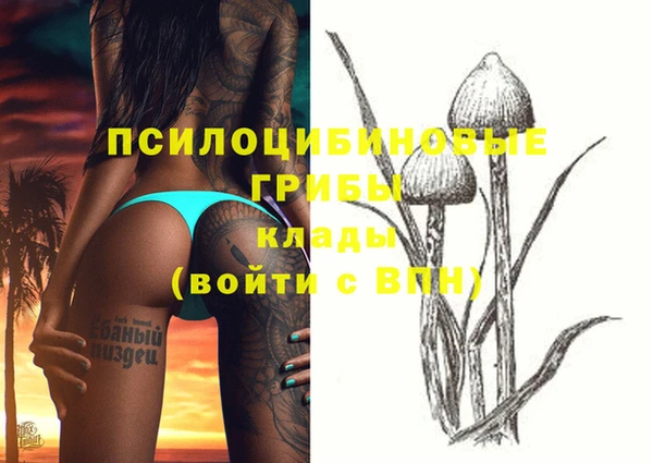 PSILOCYBIN Богородицк