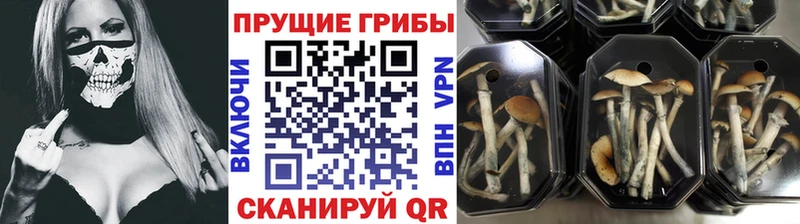 магазин мега Псилоцибиновые грибы мухоморы Старица